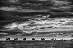 nury marc_plateau de valensole 77